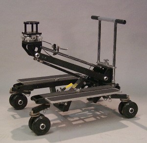 PD-1 Dolly